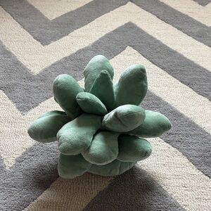 Green Plush Succulent Pillow